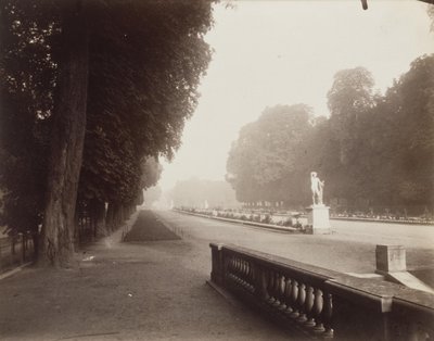 Saint-Cloud by Eugène Atget